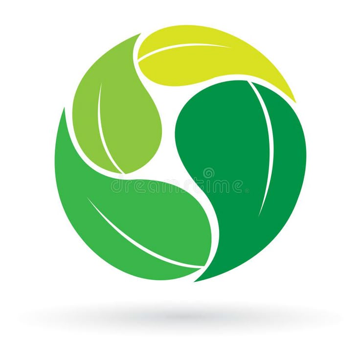 Leaf logo stock vector_ Illustration of clean, leaf, design - 23135854
